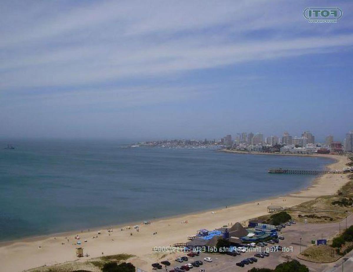 3 bedrooms Apartment in Punta del Este, Uruguay No. 11491