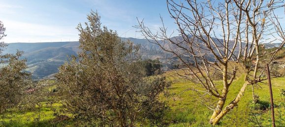 2 bedrooms House in Peso da Regua, Portugal No. 187623 29