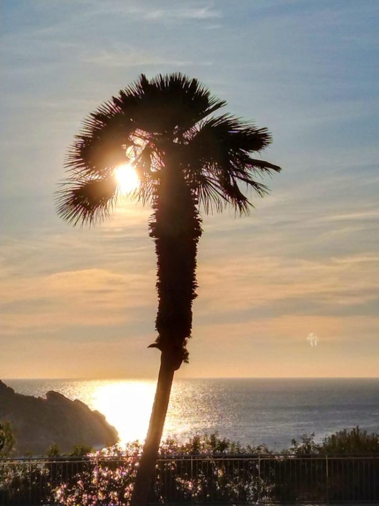 Квартира с 3 спальнями в Нова Санта Понса, Испания № 14151