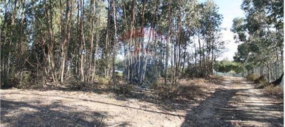 7500m² Land in Palmela, Portugal No. 60036 2
