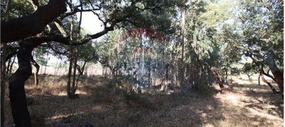7500m² Land in Palmela, Portugal No. 60036 4