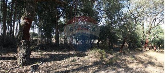 7500m² Land in Palmela, Portugal No. 60036 3