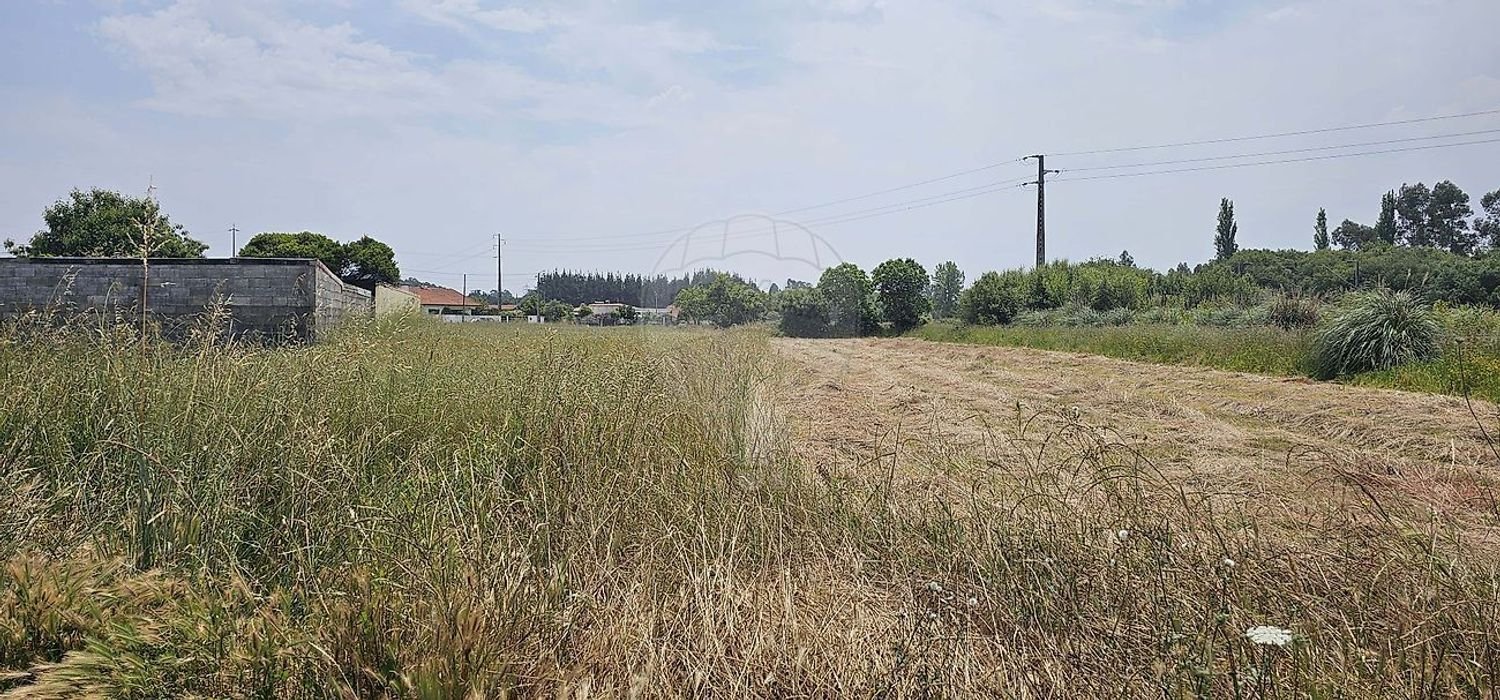 Grundstück in Maceda, Portugal, Nr. 200218