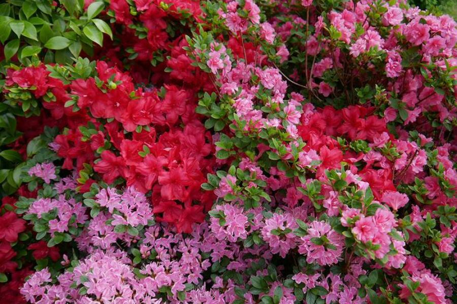 Edificio de 4 dormitorios en Duren, Germany No. 135386