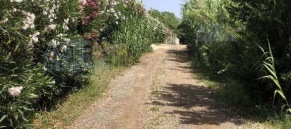  عقار تجاري في Velletri, Italy 656متر مربع رقم 15736 8