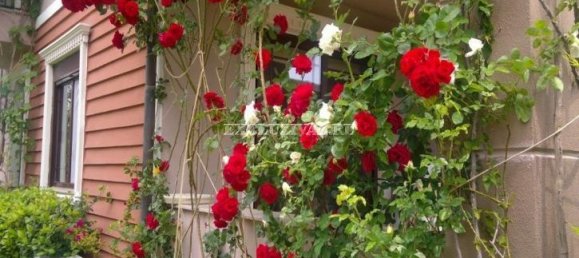 Вилла 3+1 в Кемер, Турция № 28357 16