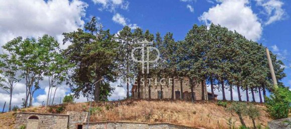 7 bedrooms House in Ficulle, Italy No. 142985 6