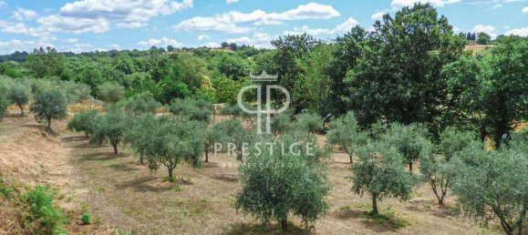 7 bedrooms House in Ficulle, Italy No. 142985 4