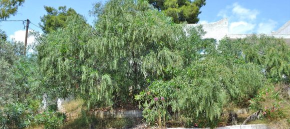 400m² Property in Kranidi, Greece No. 7164 8