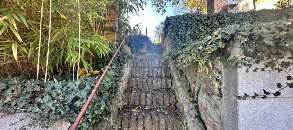 2 rooms House in Bernhardsthal, Austria No. 230120 26