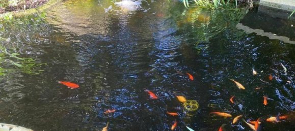 5-salle Maison à Soest, Germany No. 95488 6