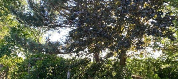 5-salle Maison à Soest, Germany No. 95488 5