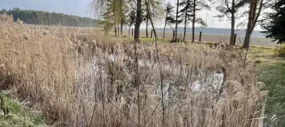 7غرفة مزرعة في Elbe-Elster, Germany رقم 323564 13