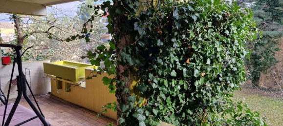 3 غرف نوم شقة في Enzkreis, Germany رقم 57913 2