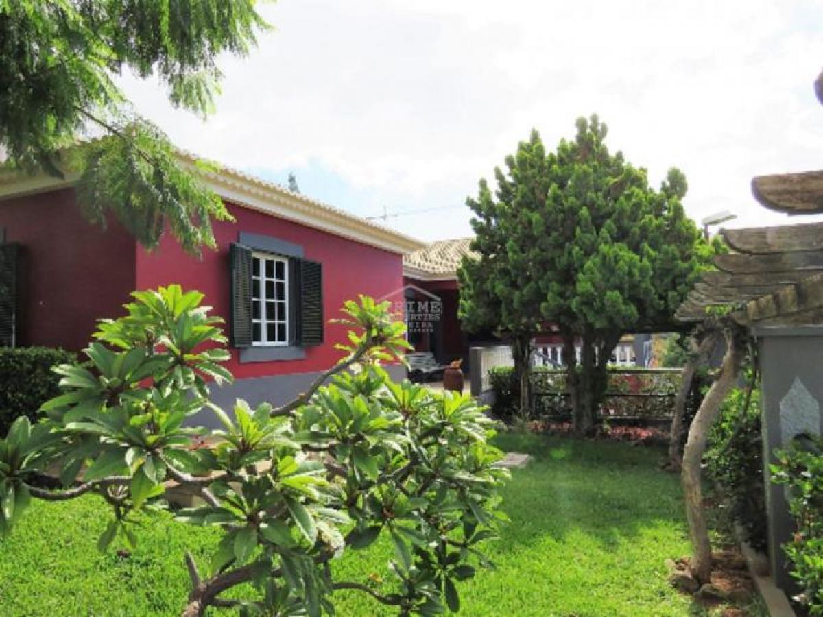 4 bedrooms Villa in Funchal, Portugal No. 414