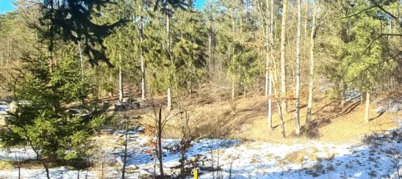 Terreno en Ostprignitz-Ruppin, Germany No. 233686 15