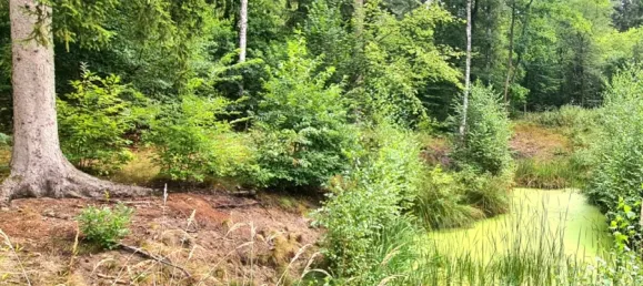 Terreno en Ostprignitz-Ruppin, Germany No. 233686 6