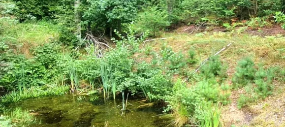 Terreno en Ostprignitz-Ruppin, Germany No. 233686 5