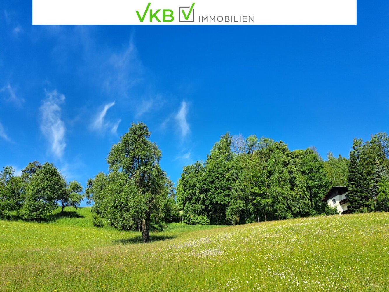  Land in Bad Schallerbach, Austria No. 130644