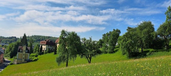  Land in Bad Schallerbach, Austria No. 130644 4
