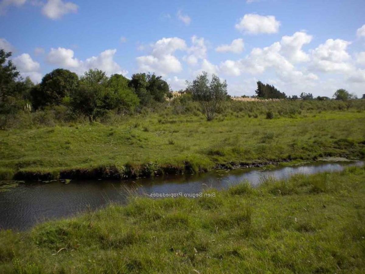Studio à Canelones, Uruguay No. 4013