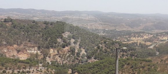 1 Schlafzimmer Haus in Barrancos, Portugal, Nr. 39868 19