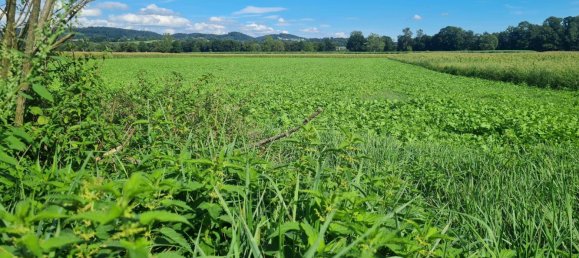 Grundstück in Arbing, Austria 5785m², Nr. 48441 4