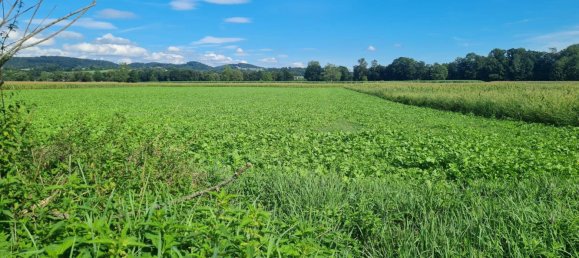 Grundstück in Arbing, Austria 5785m², Nr. 48441 3