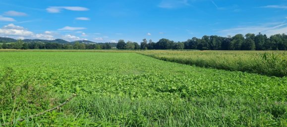 Grundstück in Arbing, Austria 5785m², Nr. 48441 2