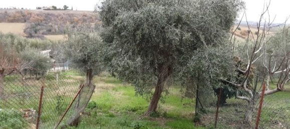 Casa de 11 divisões em Notaresco, Italy N.º 171239 19