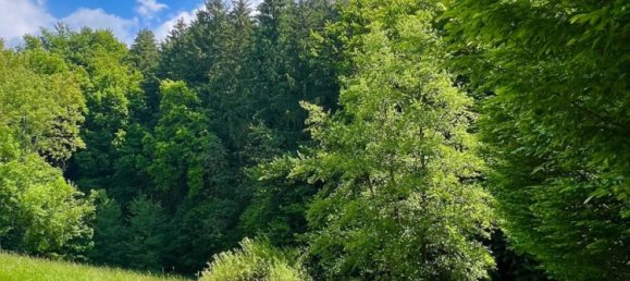 Grundstück in Rottal-Inn, Germany, Nr. 346357 4