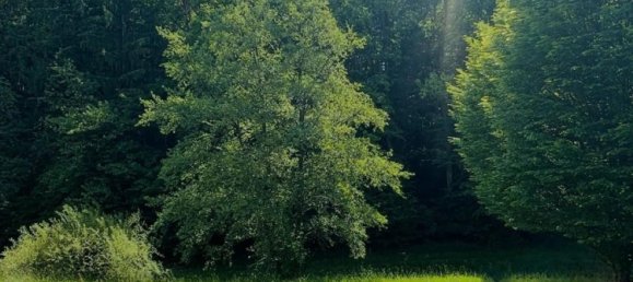 Grundstück in Rottal-Inn, Germany, Nr. 346357 3