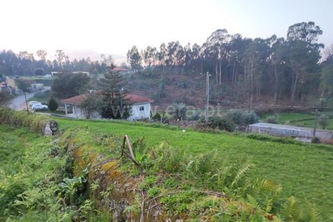  قطعة أرض في Barcelos, Portugal رقم 202251