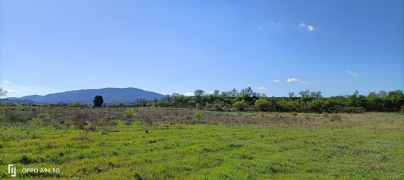  قطعة أرض في Ferrals-les-Corbieres, France رقم 104323 2