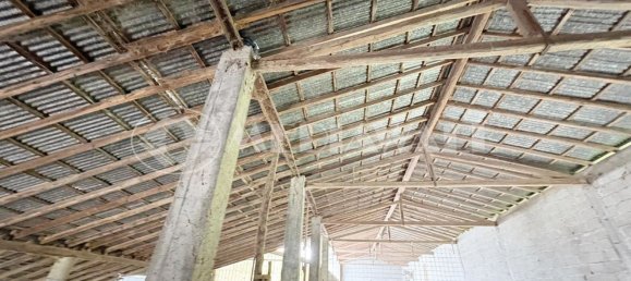 5-Zimmer Haus in Pordenone, Italy, Nr. 258998 8