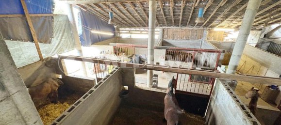 5-Zimmer Haus in Pordenone, Italy, Nr. 258998 13