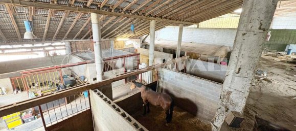 5-Zimmer Haus in Pordenone, Italy, Nr. 258998 11