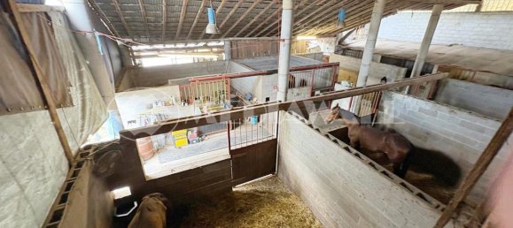 5-Zimmer Haus in Pordenone, Italy, Nr. 258998 3