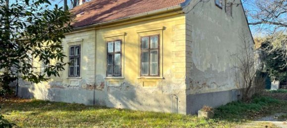 3653m² Land in Neunkirchen, Austria No. 51731 4