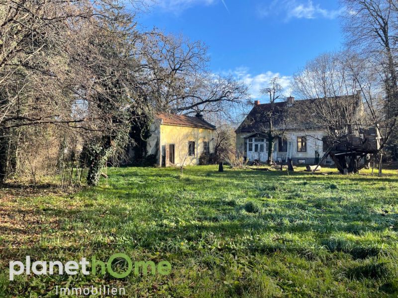 3653m² Land in Neunkirchen, Austria No. 51731