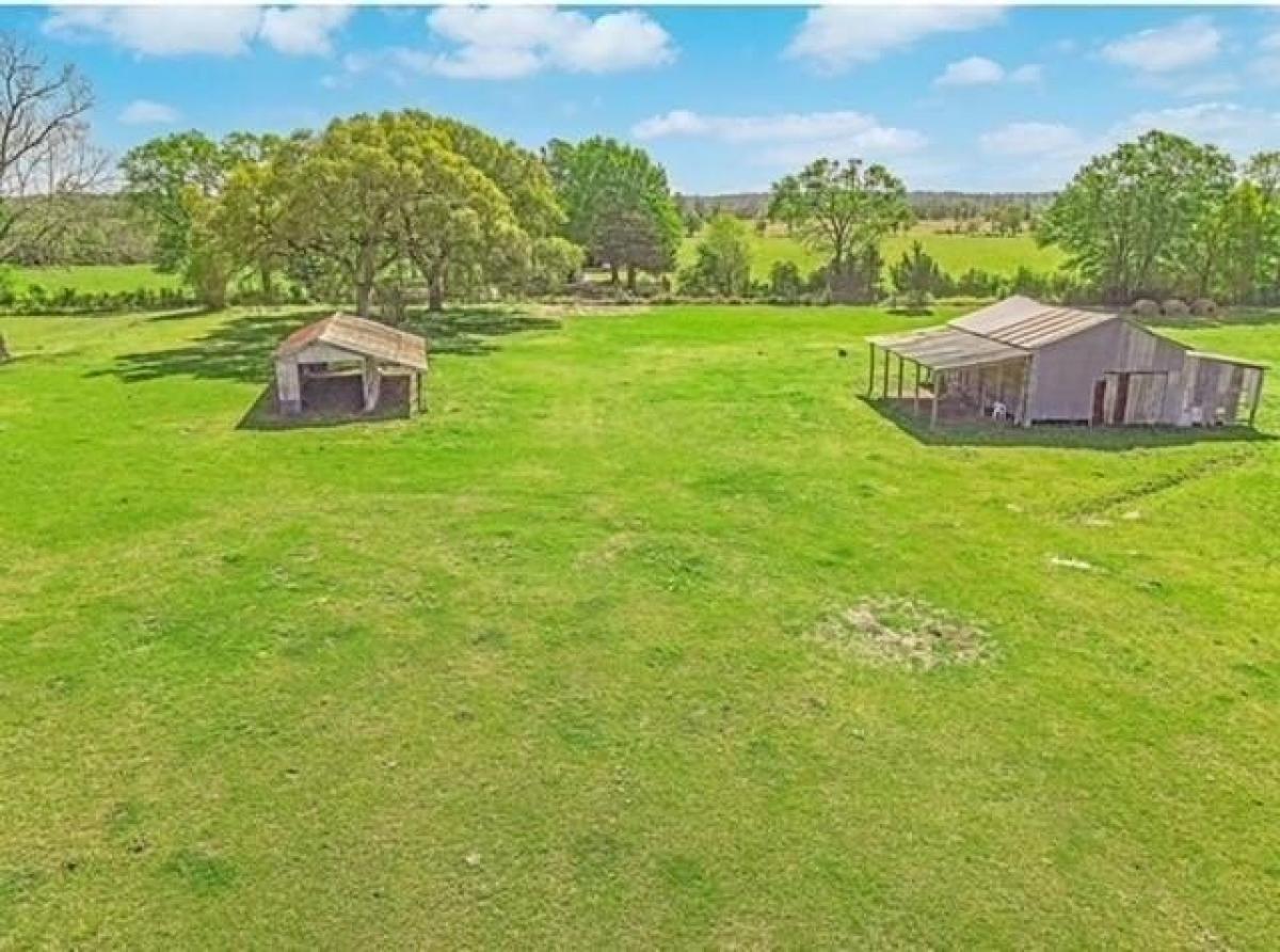  قطعة أرض في Apple Springs, USA رقم 542190