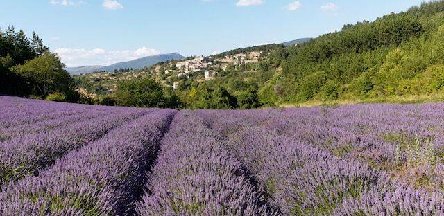 Casa T4 em Aurel, France N.º 326506