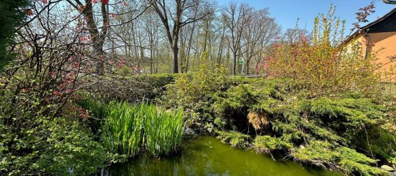 4 bedrooms House in Spree-Neise, Germany No. 20447 16