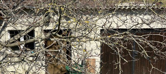 4 bedrooms House in Spree-Neise, Germany No. 20447 5