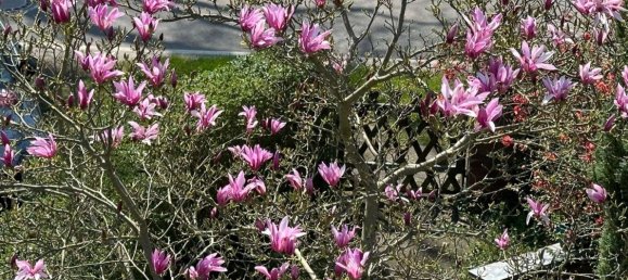 4 bedrooms House in Spree-Neise, Germany No. 20447 9