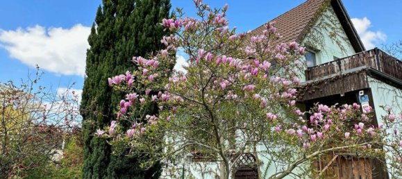 4 bedrooms House in Spree-Neise, Germany No. 20447 12