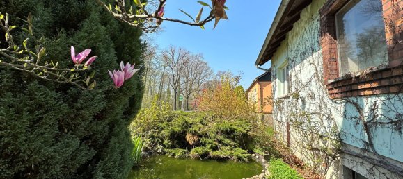 4 bedrooms House in Spree-Neise, Germany No. 20447 14