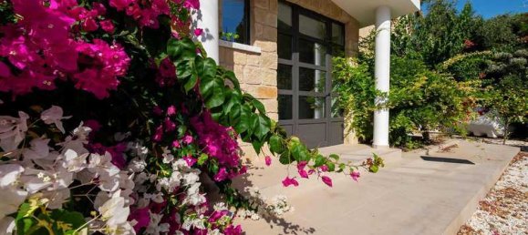 3 Schlafzimmer Villa in Pegeia, Cyprus, Nr. 6483 15