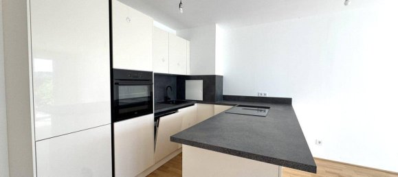 Таунхаус с 4 комнатами в Вена, Австрия № 226136 5