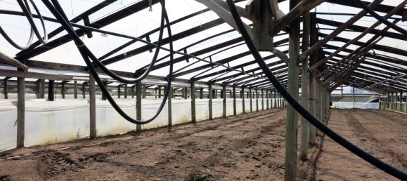 3-Zimmer Villa in Fondi, Italy, Nr. 198905 19